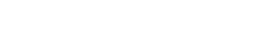Prime Bravus